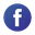 facebook.ico